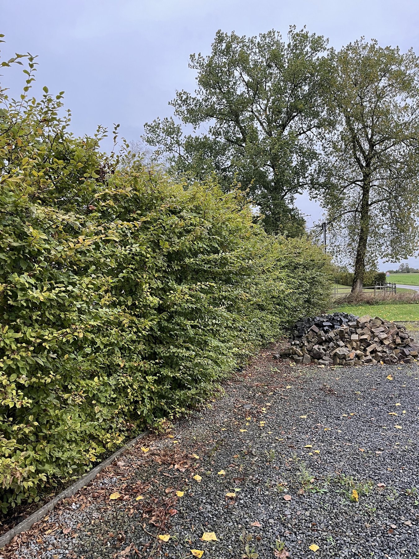 Avant intervention d'AJW Extérieurs