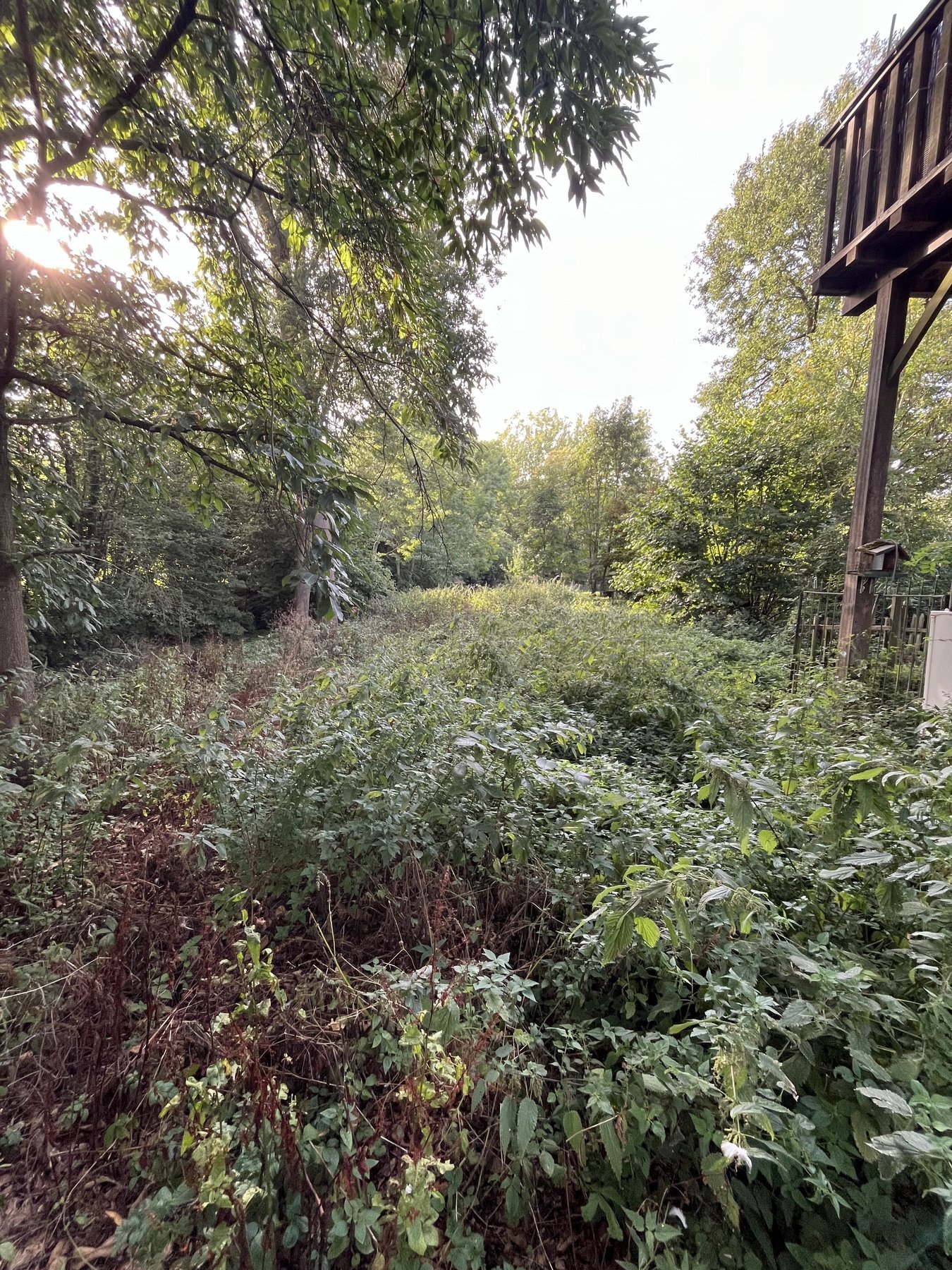 Avant intervention d'AJW Extérieurs