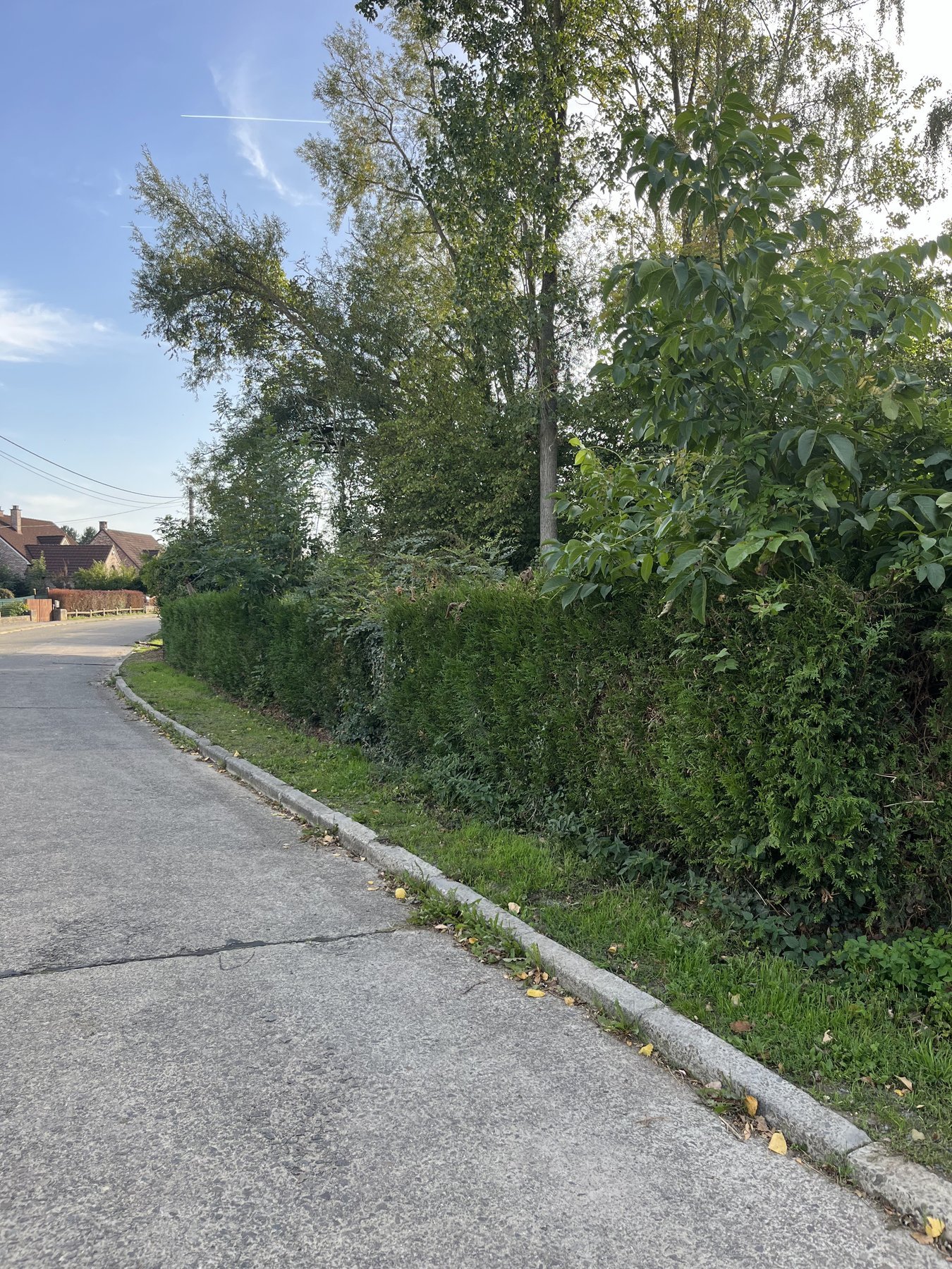 Avant intervention d'AJW Extérieurs